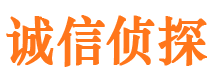 保亭私人侦探